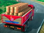 Indian Truck Driver Cargo Service Delivery
